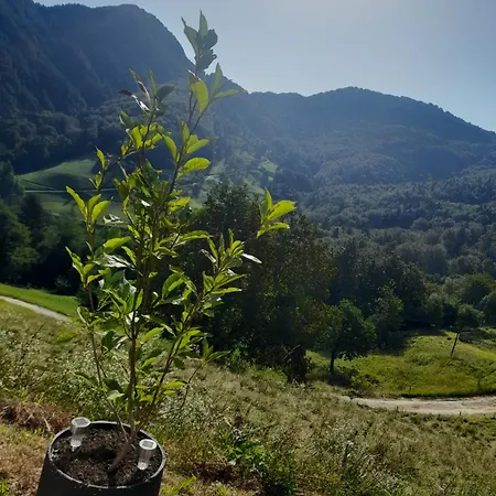 Apartment Tepe Retreat Konjsica